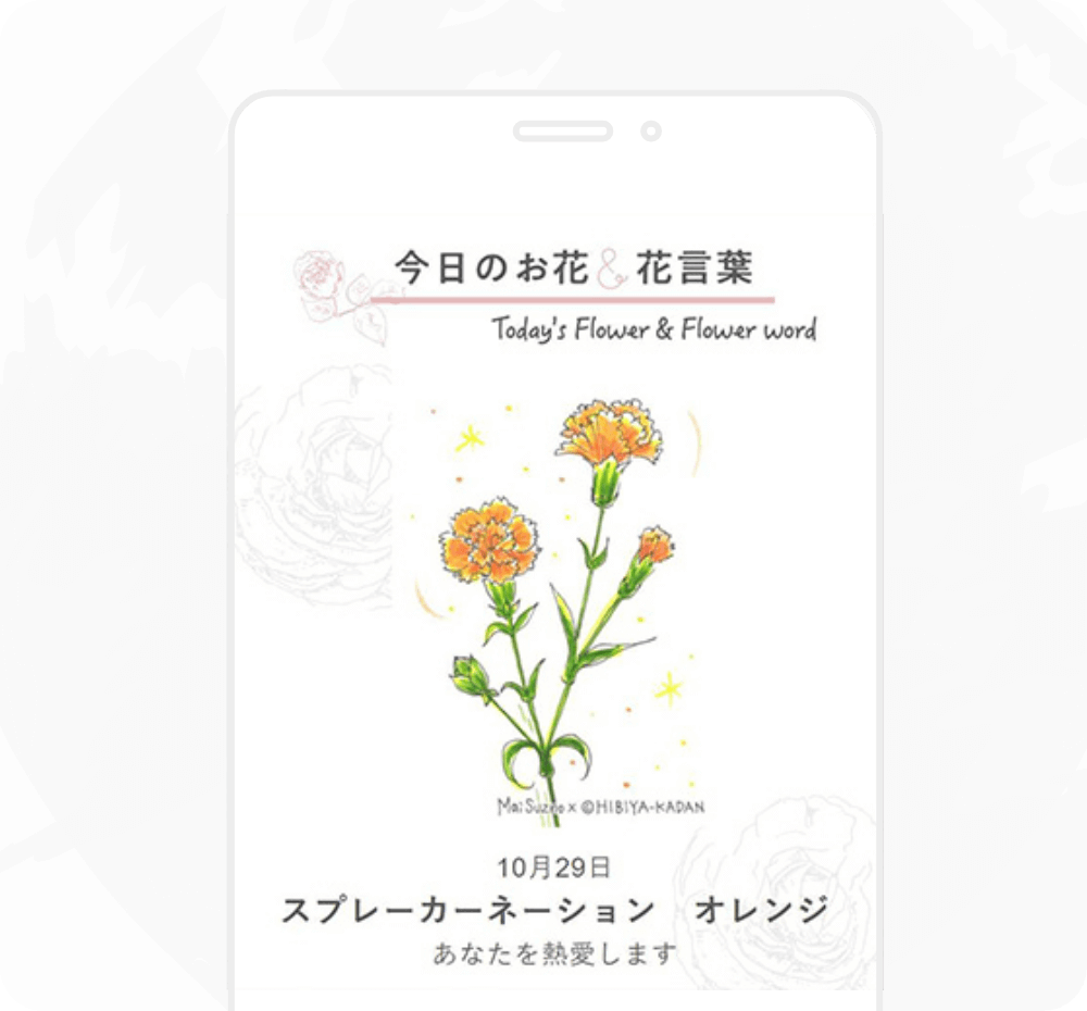 今日のお花＆花言葉 Toda's Flower word